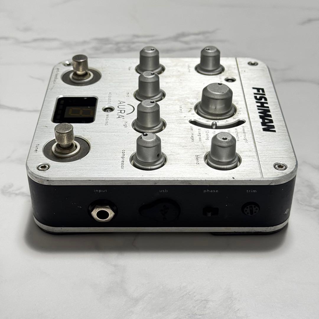 ギター FISHMAN AURA