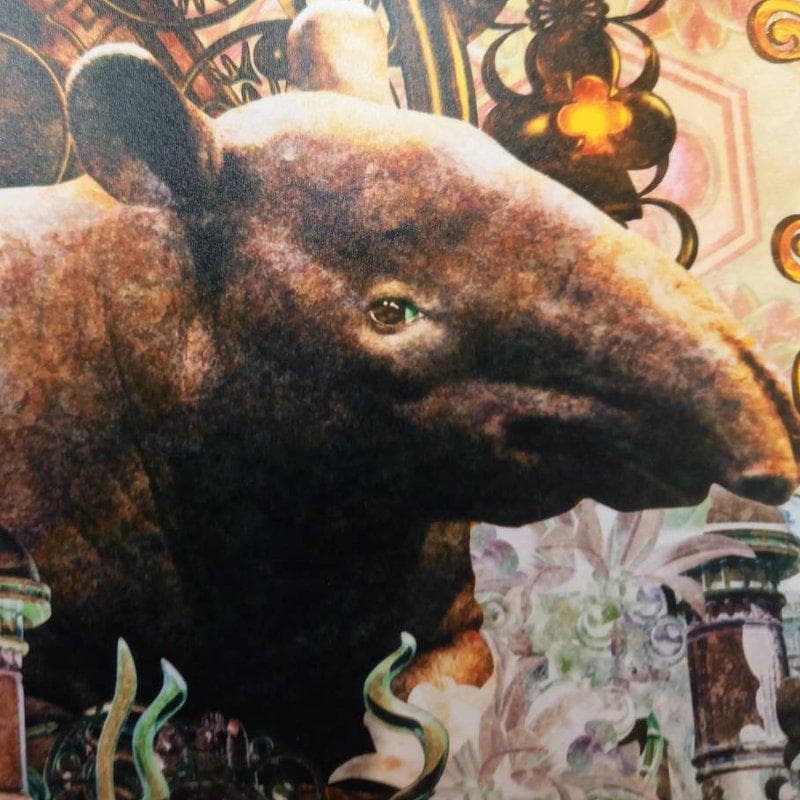 ☆松崎祐哉☆「punky Tapir」ジグレー版画　新品！