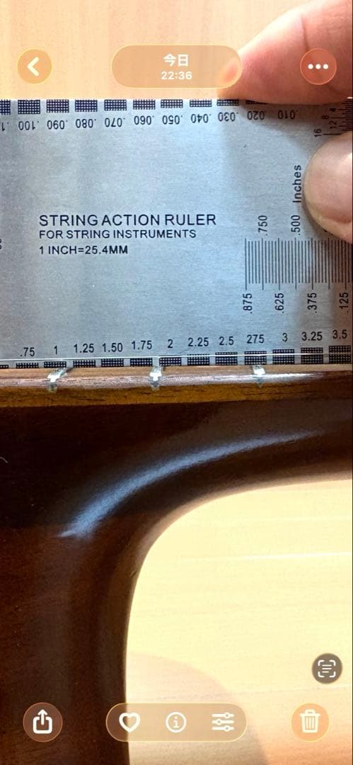 ギター Martin D-21LE MOD