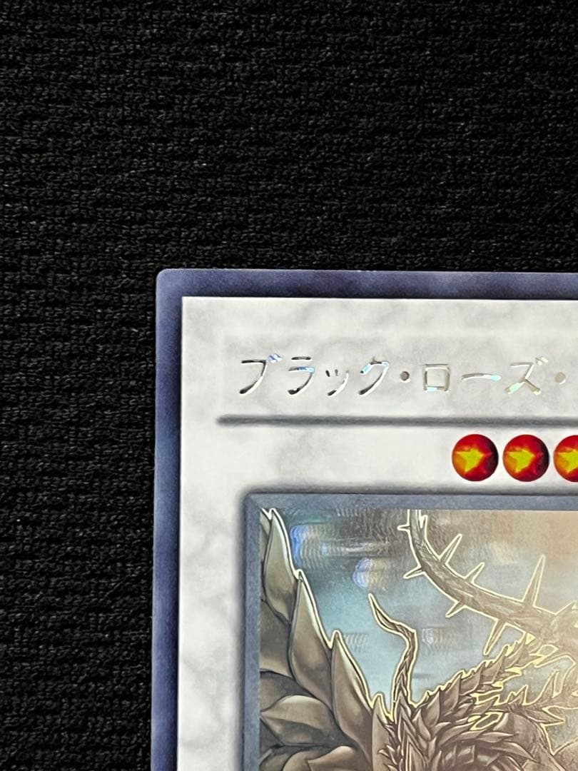 【美品級】ブラック・ローズ・ドラゴン CSOC-JP039 ホロ