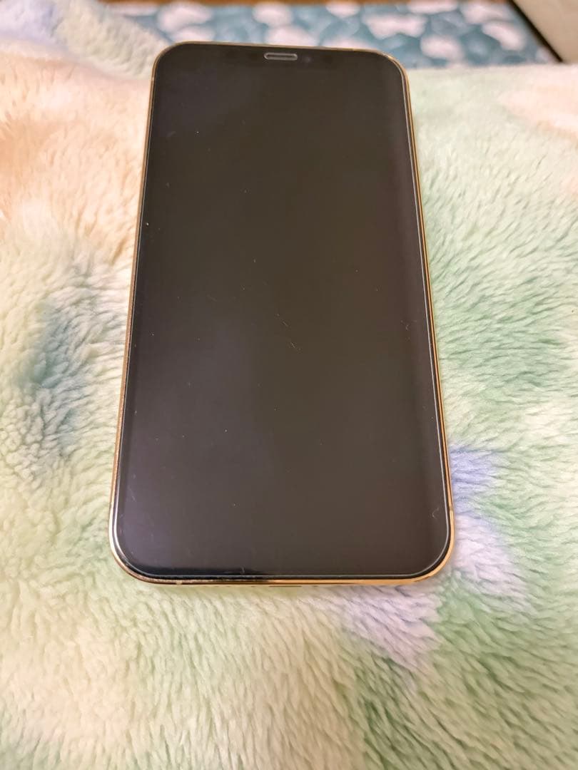 iPhone13Pro シャンパンゴールド