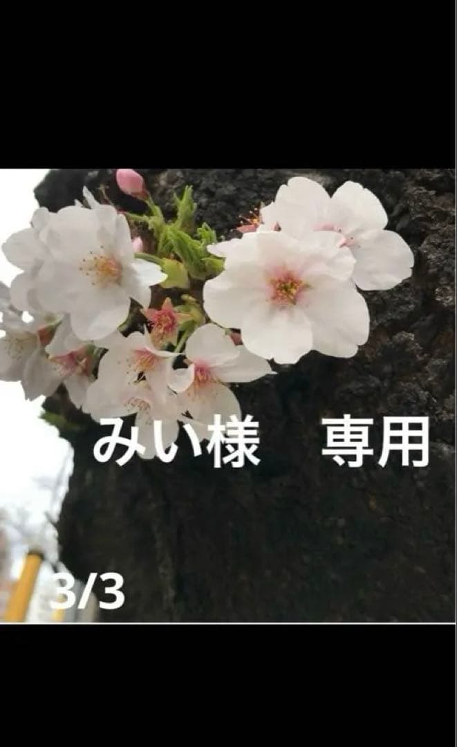 みい様　おまとめ