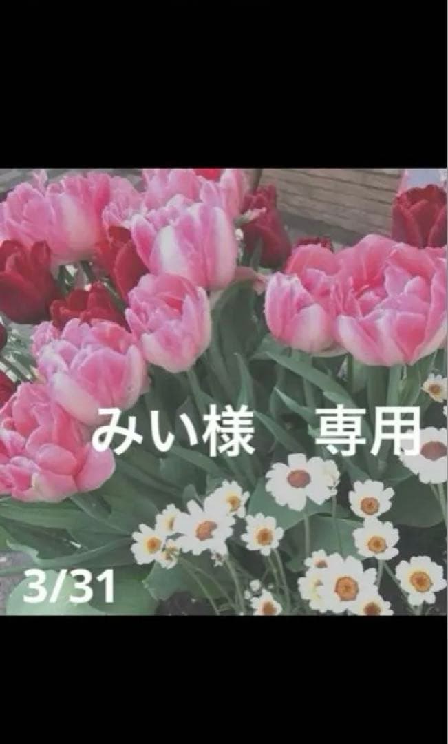 みい様　おまとめ