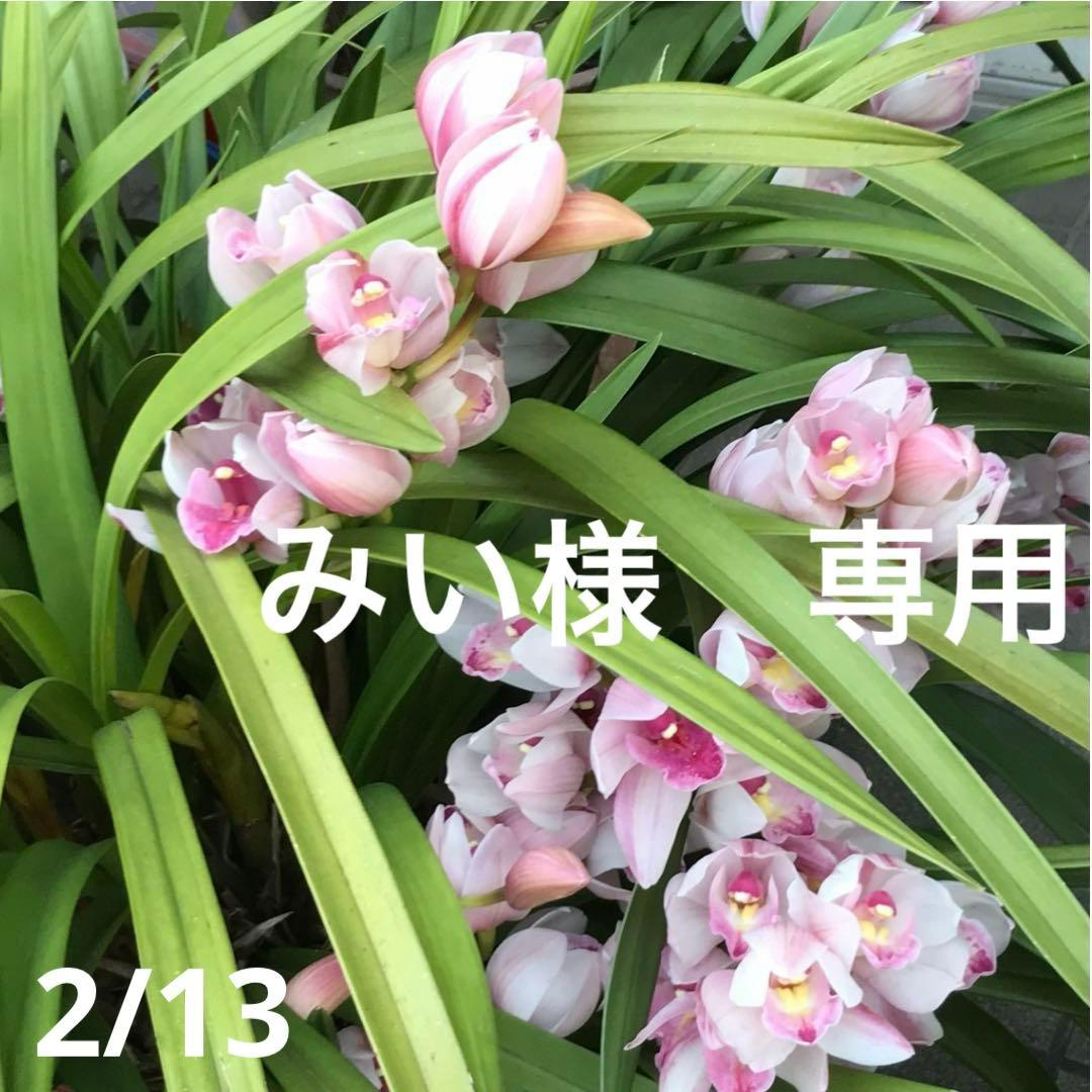 みい様　おまとめ