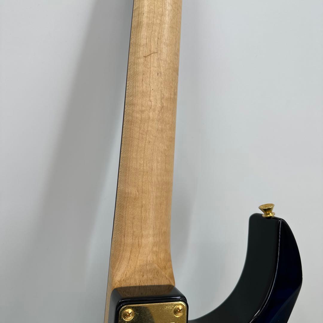 プロフィ必読☆かにかにカニオ　フェルナンデス　エレキギター　FGZ-420