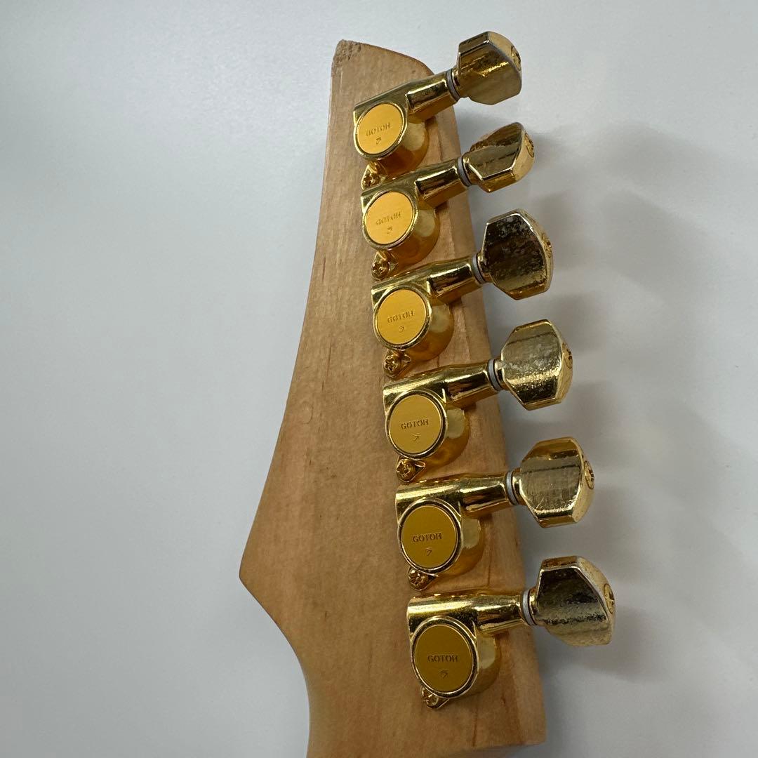 プロフィ必読☆かにかにカニオ　フェルナンデス　エレキギター　FGZ-420