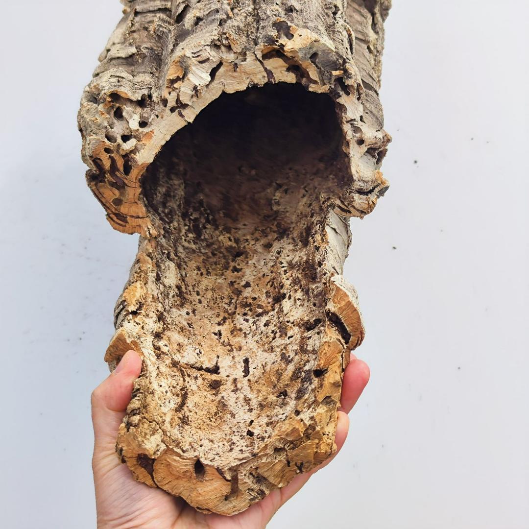 c7011　お買得品 洗浄済 ポルトガル産 キャノンコルク バージンコルク