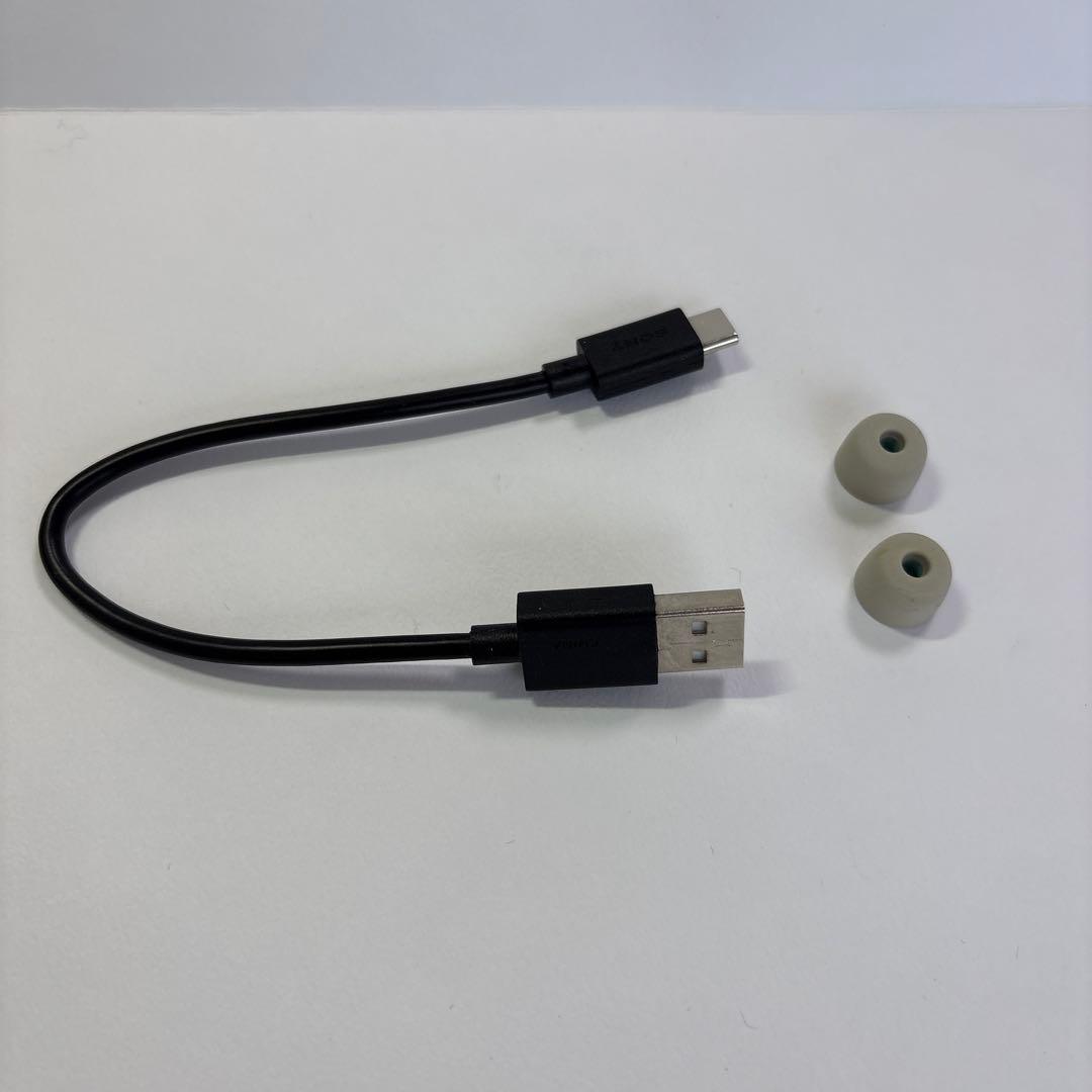 a*g様 SONY ワイヤレスイヤホン WF-1000XM4