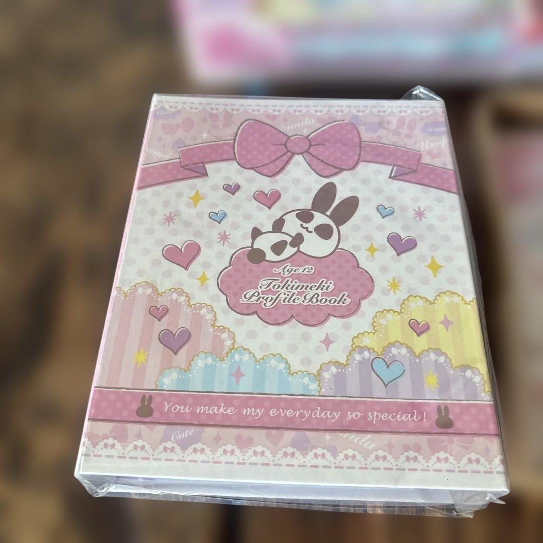 ⭐️希少未使用品⭐️12歳。トキメキプロフ手帳　ちゃお