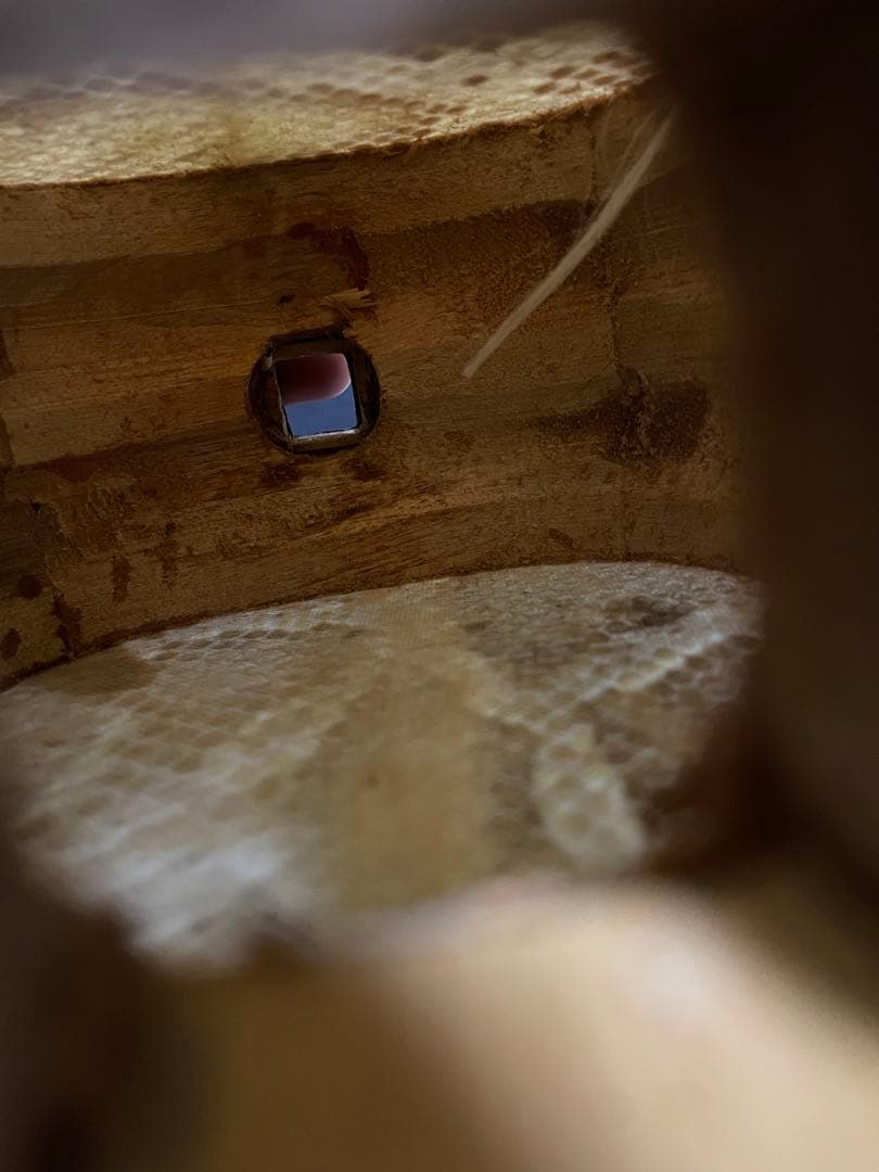 三線 本体 本革強化張 棹重量532g ケース付き