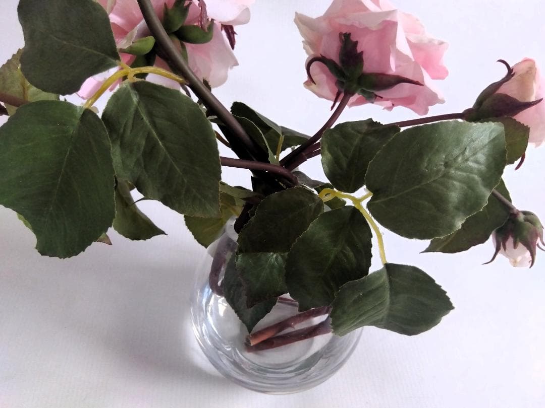 EMILIO ROBBA エリミオロバ プリマローズ 36㎝