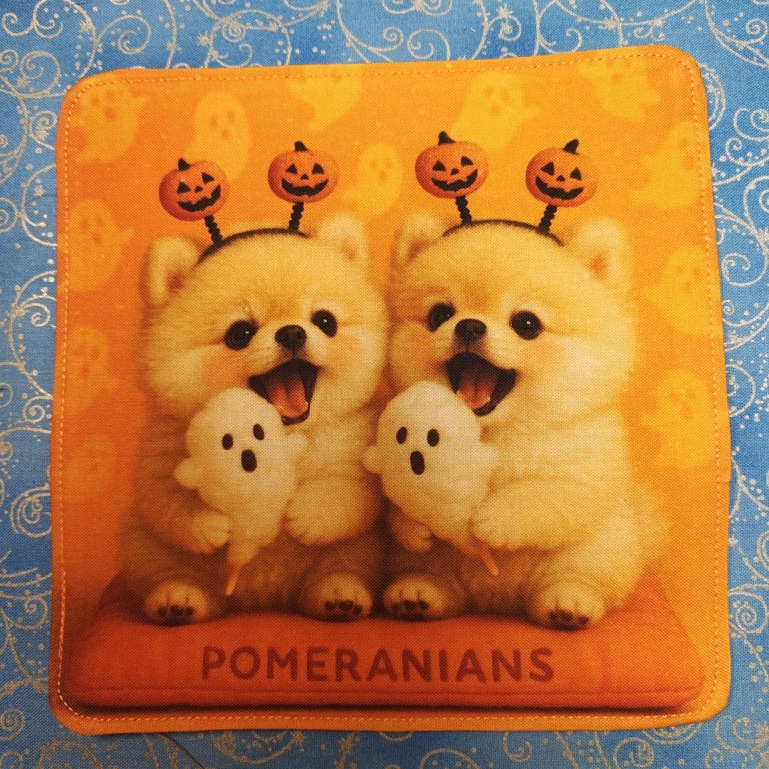 yourelie 4重ハンカチ　女の子ねこちゃん柄　18枚