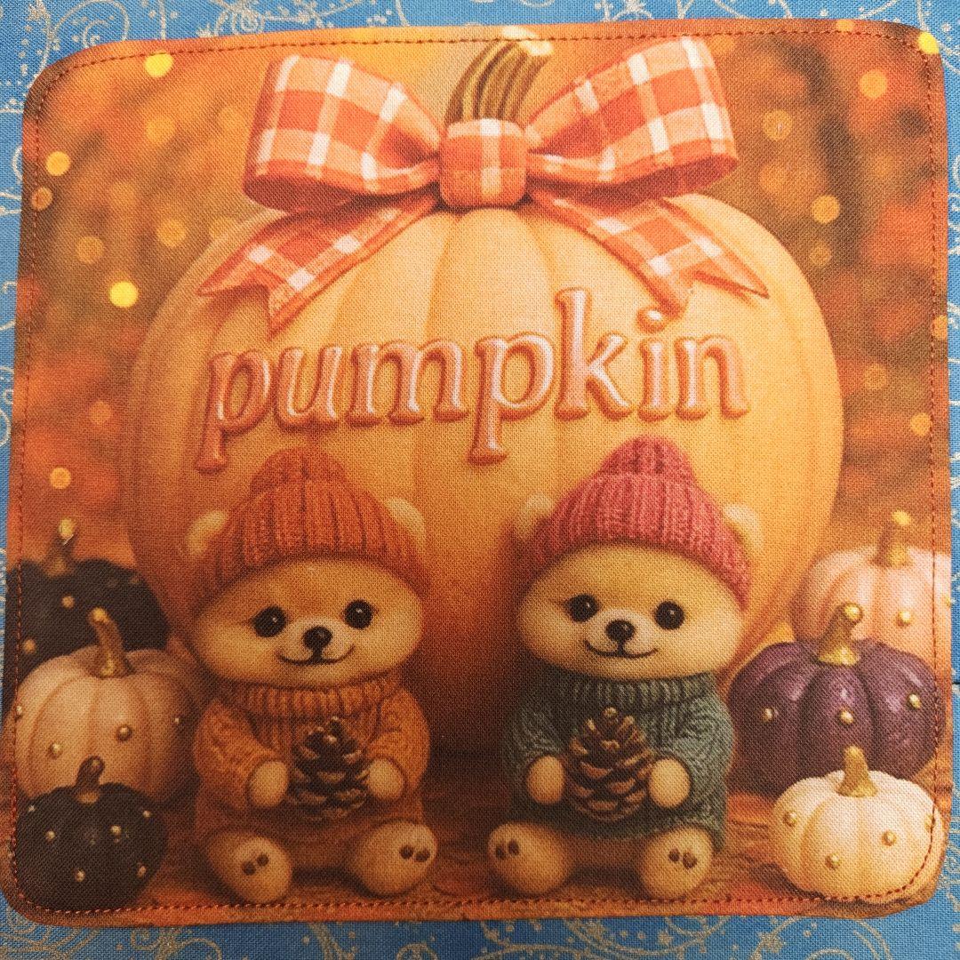 yourelie 4重ハンカチ　女の子ねこちゃん柄　18枚