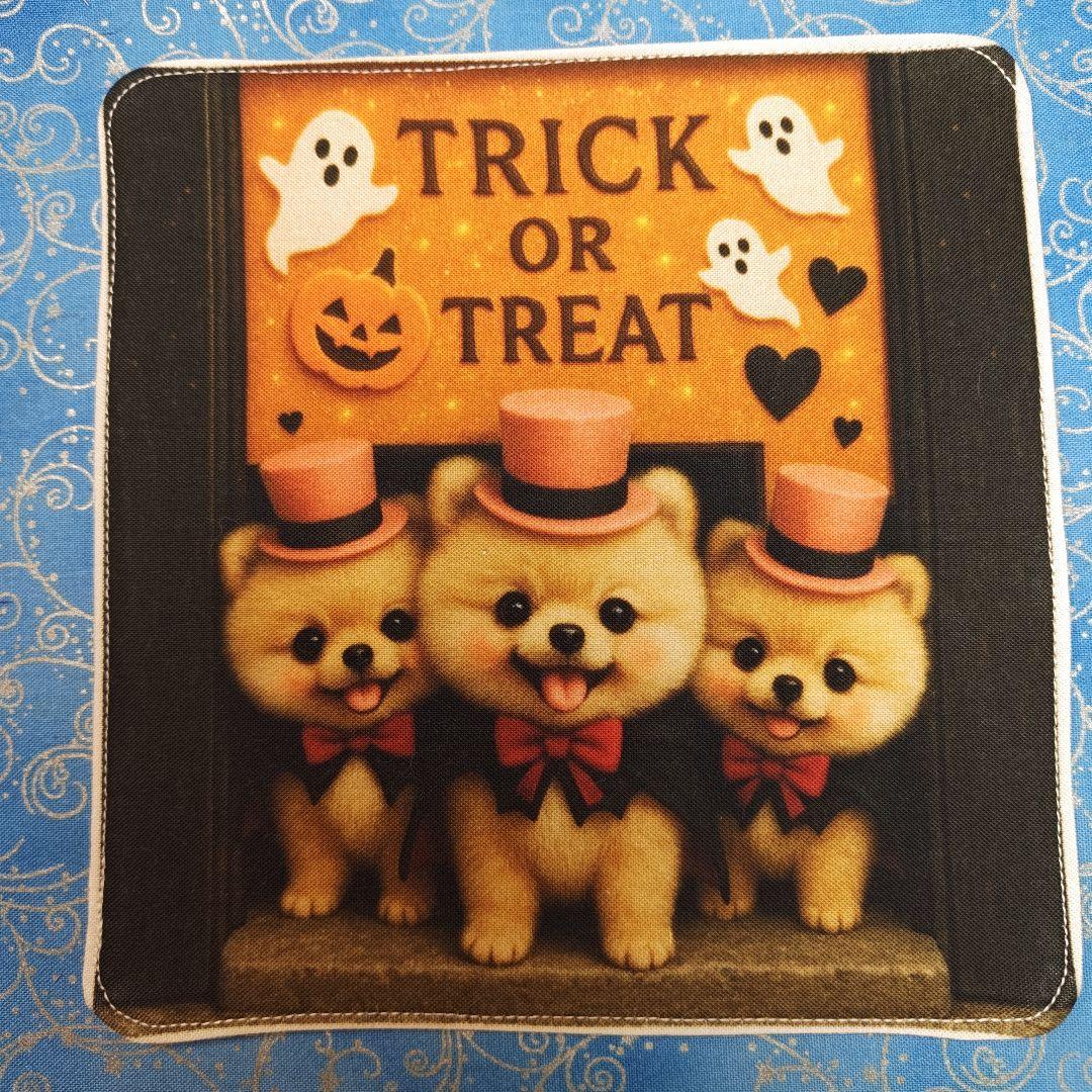 yourelie 4重ハンカチ　女の子ねこちゃん柄　18枚