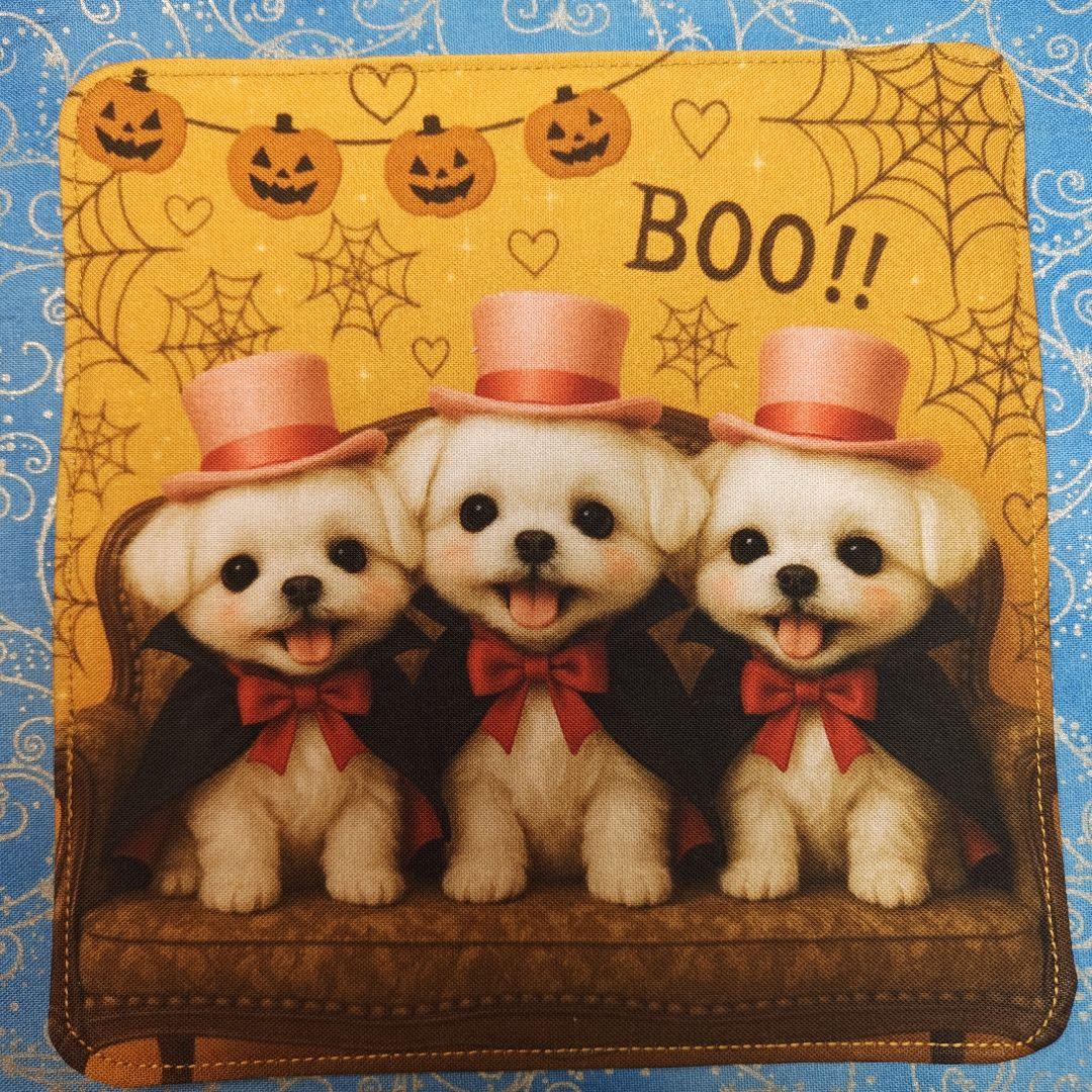 yourelie 4重ハンカチ　女の子ねこちゃん柄　18枚