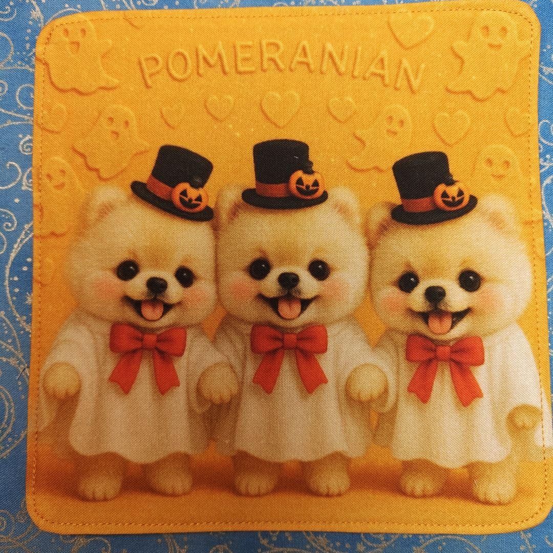 yourelie 4重ハンカチ　女の子ねこちゃん柄　18枚