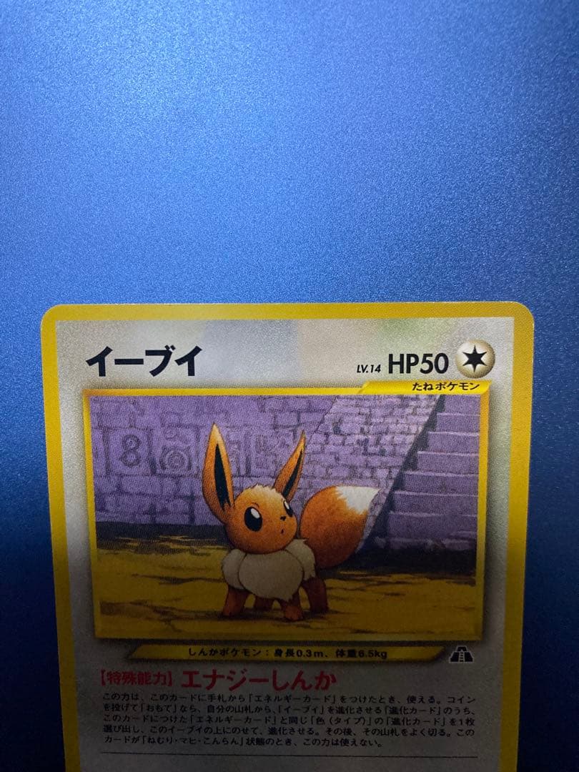 【旧裏】ブラッキーエーフィイーブイプレミアムファイル2 PROMO セット