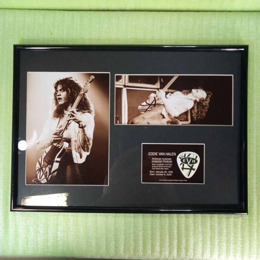 EDDIE VAN HALEN　置物　額　ピック　アート　インテリア　オブジェ