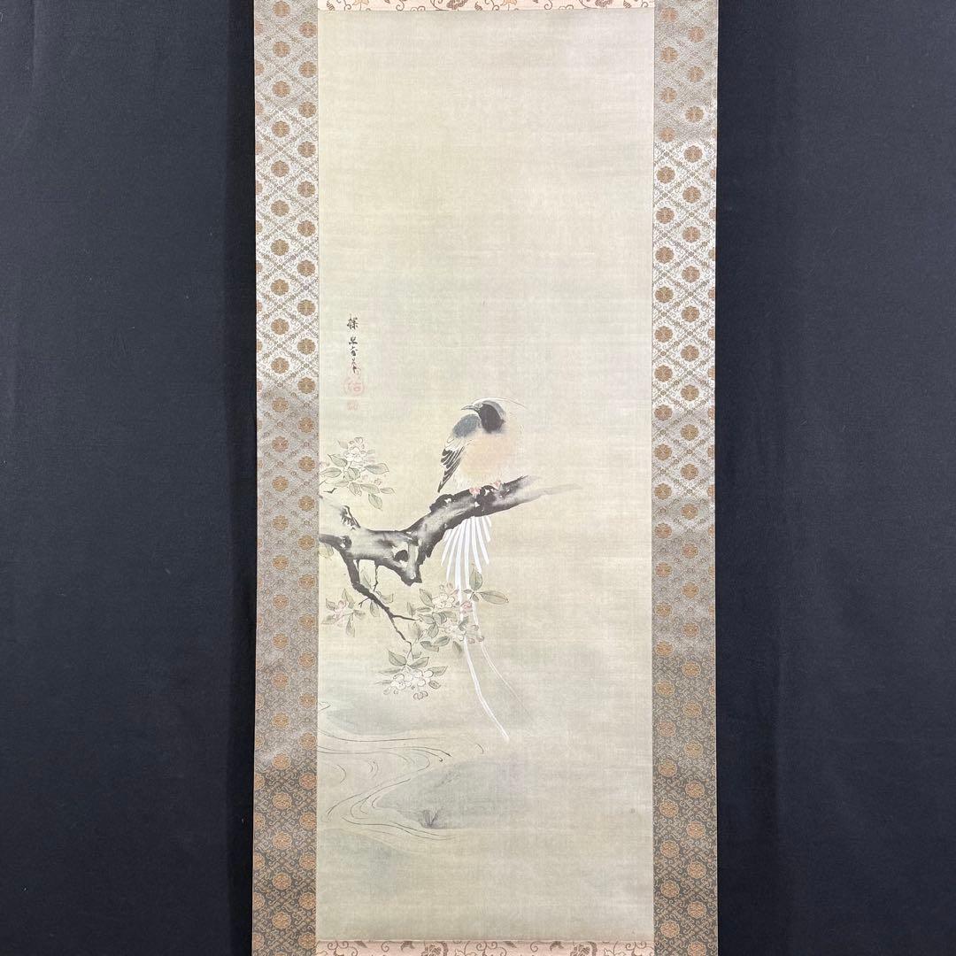 K155 狩野探幽 「海常に尾長鳥」 掛軸 日本画 工芸印刷 共箱
