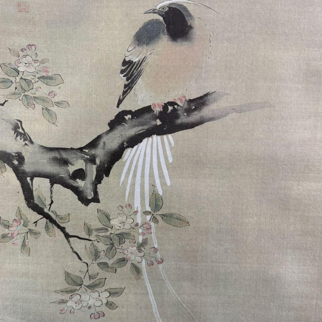 K155 狩野探幽 「海常に尾長鳥」 掛軸 日本画 工芸印刷 共箱