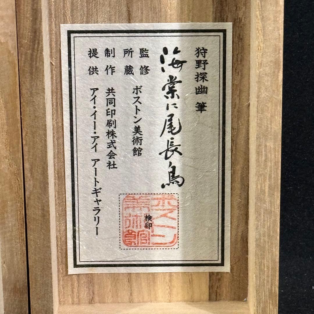K155 狩野探幽 「海常に尾長鳥」 掛軸 日本画 工芸印刷 共箱
