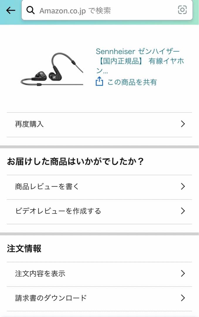 SENNHEISER ゼンハイザー IE300 国内正規品　新品未使用