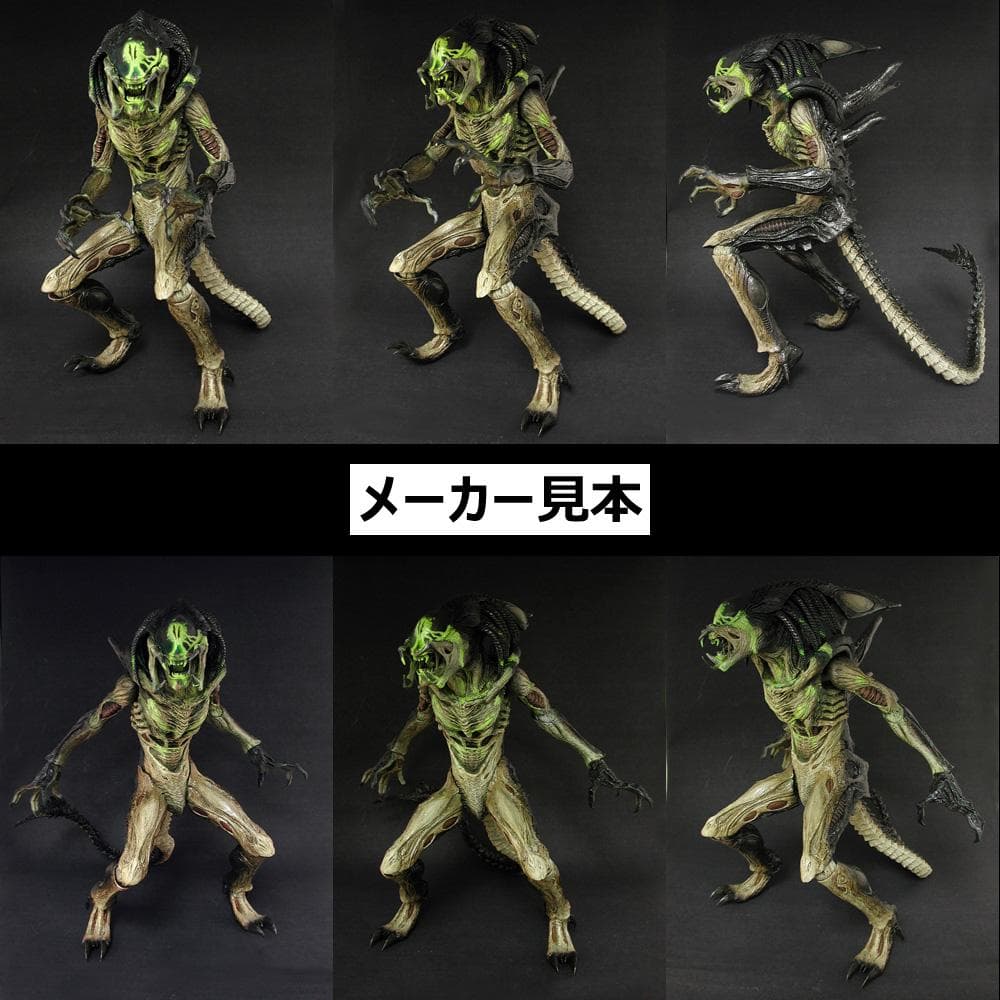 限定版！AVP2【プレデリアン(バトルダメージ版)】1/6　HOT TOYS