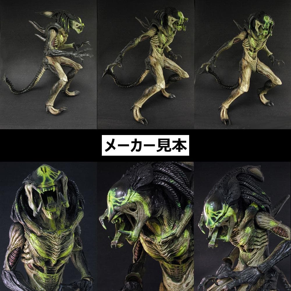 限定版！AVP2【プレデリアン(バトルダメージ版)】1/6　HOT TOYS