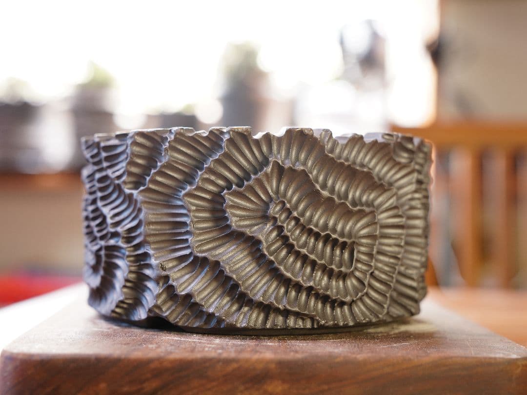 手作植木鉢 ハンドメイド 陶器鉢 塊根植物 アガべ Lサイズ A-717