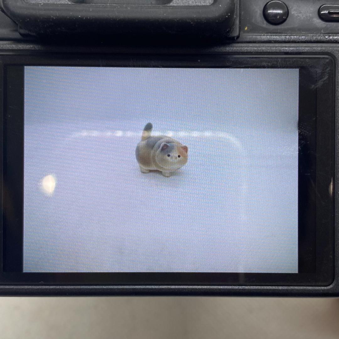 【C7067】DMC-G1+ G VARIO 1:3.5-5.6 /14-45