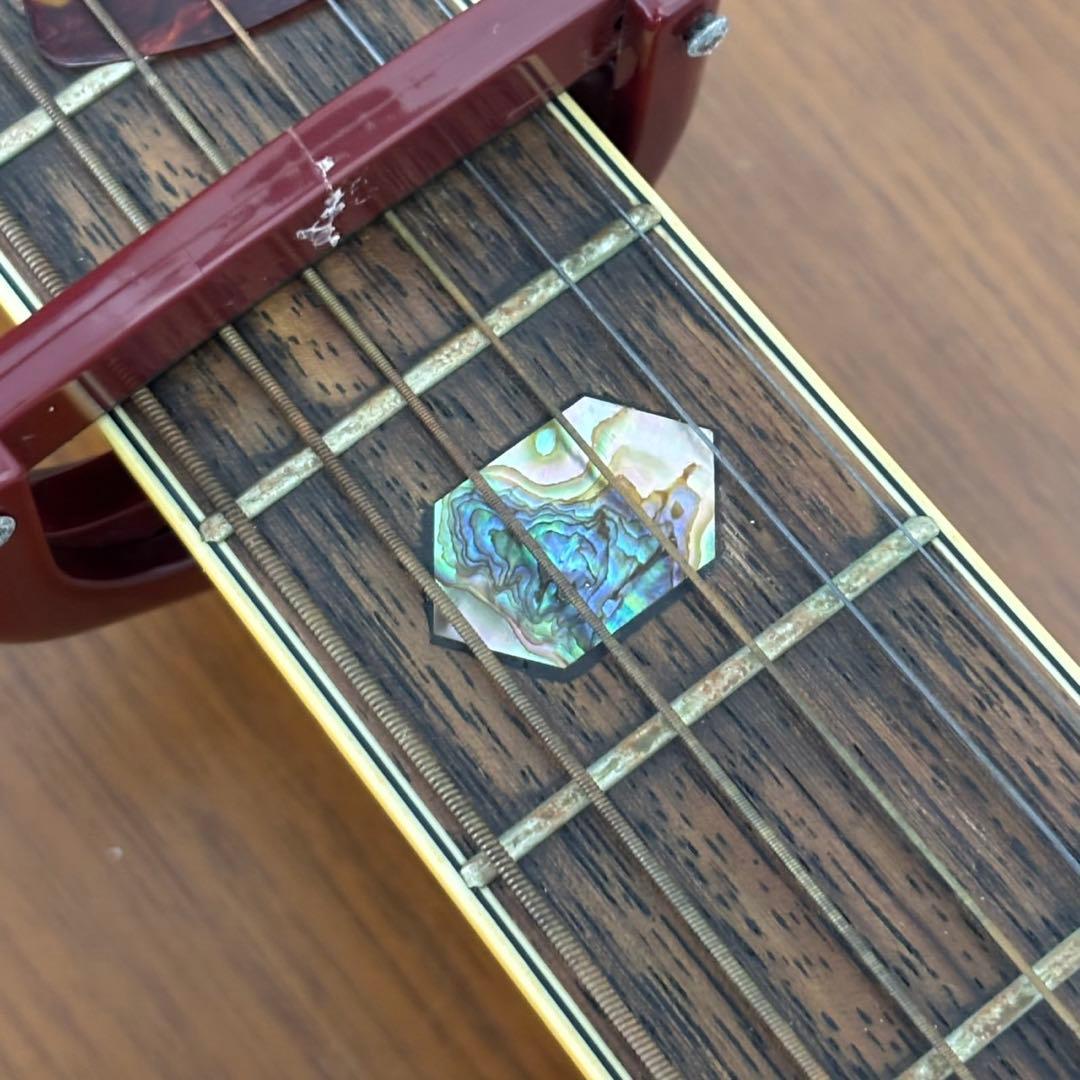 YAMAKI ヤマキ アコースティックギター F150C ケース B176