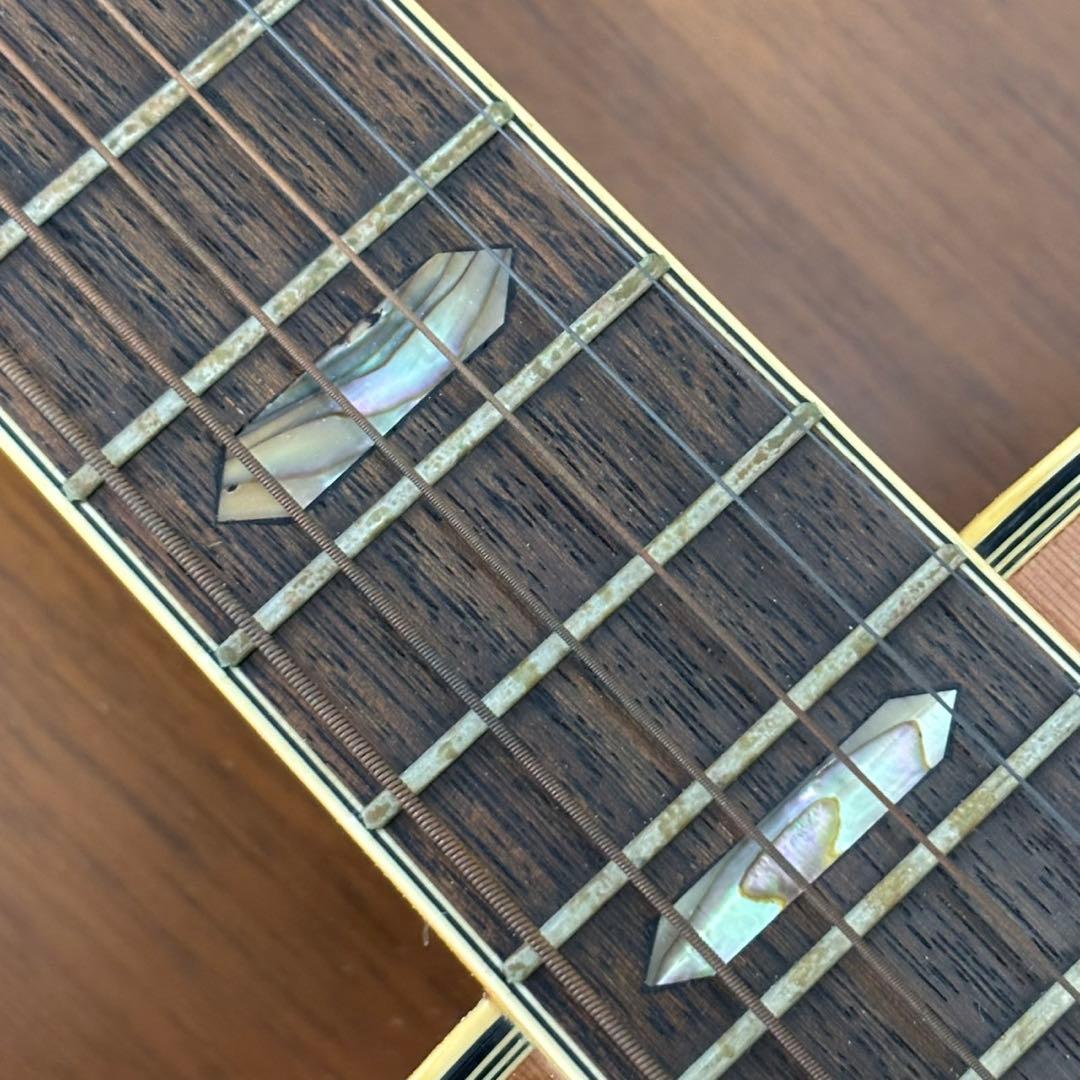 YAMAKI ヤマキ アコースティックギター F150C ケース B176