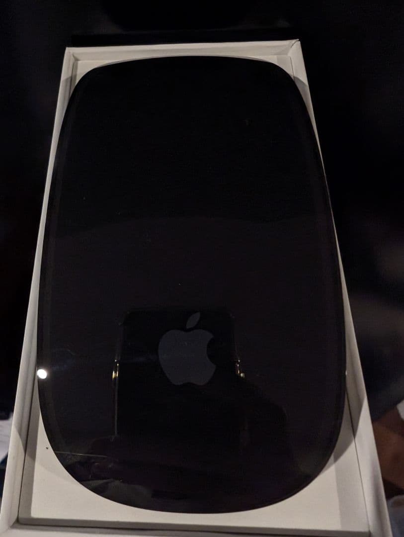 Apple Magic Mouse ブラック2024 Multi-Touch対応