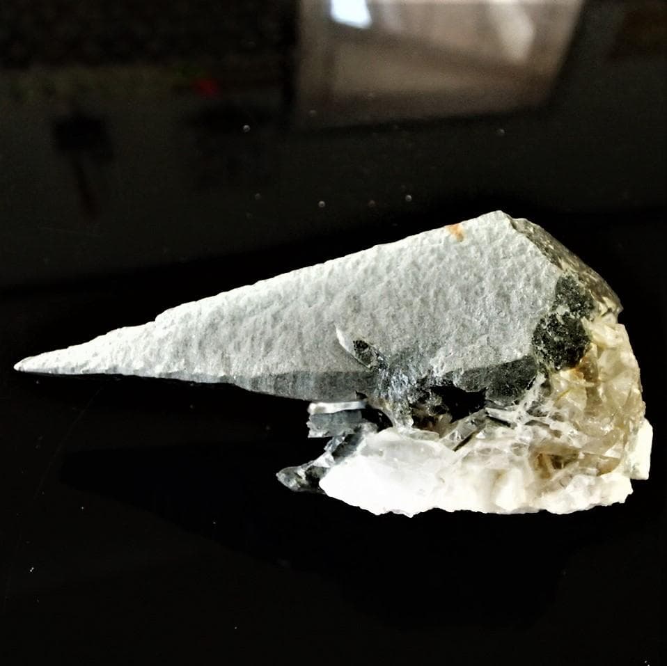 ラパ産ポイントー64-2