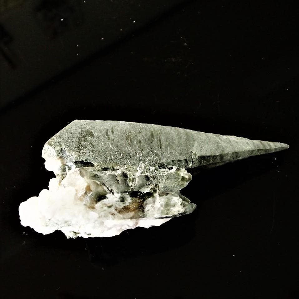 ラパ産ポイントー64-2