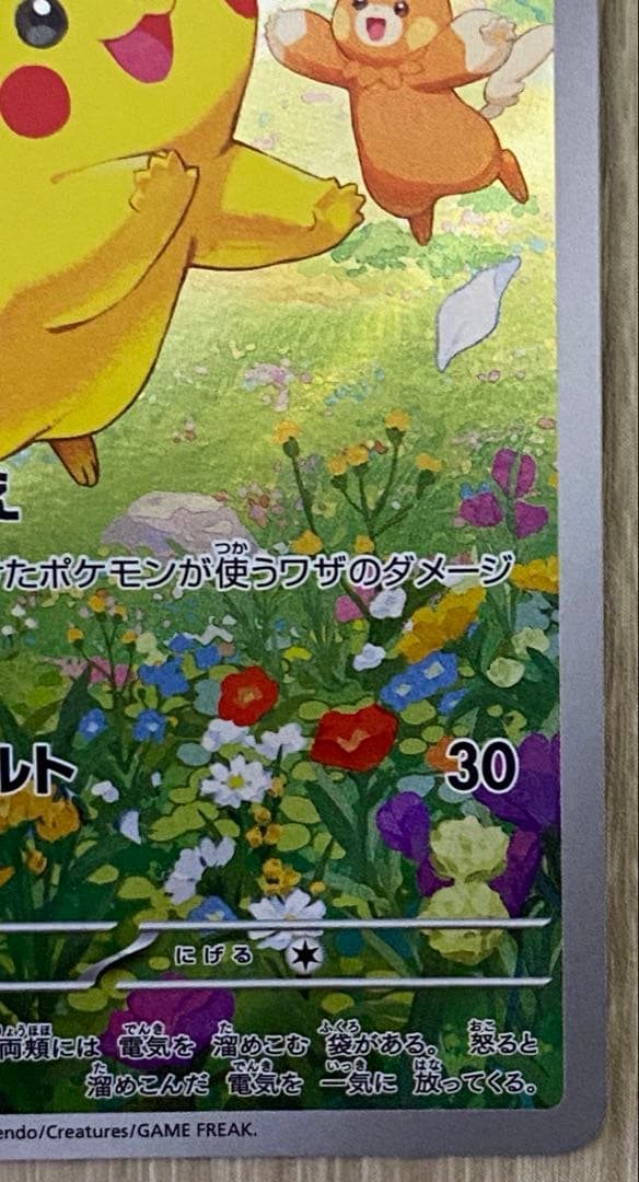 ピカチュウ 夏がキタプロモ