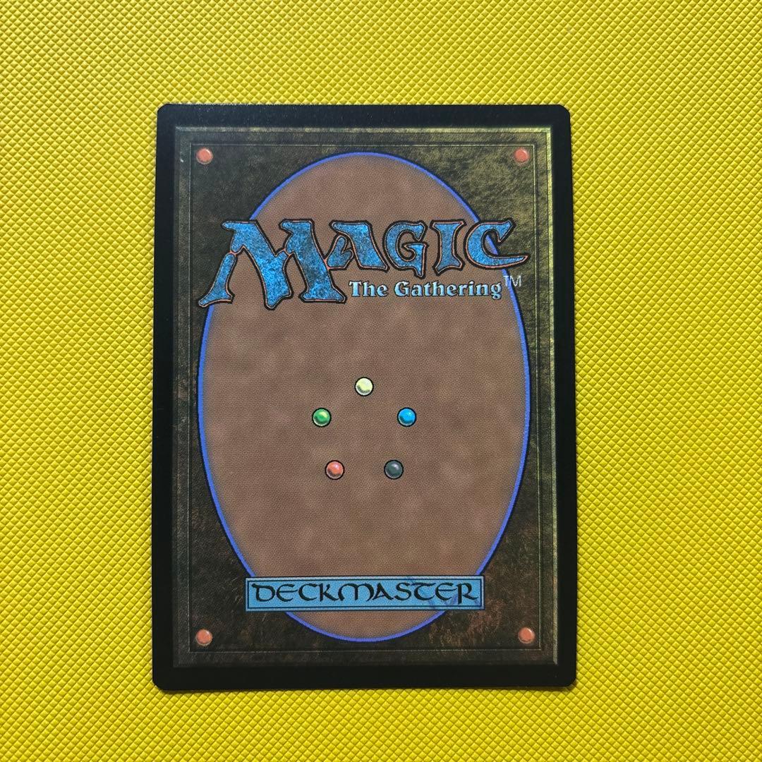 【旧枠FOIL】新緑の地下墓地/Verdant Catacombs MTG英語