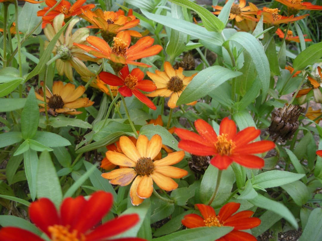 実写美⭕️良品【動作確認済】Nikon COOLPIX S500　グレー