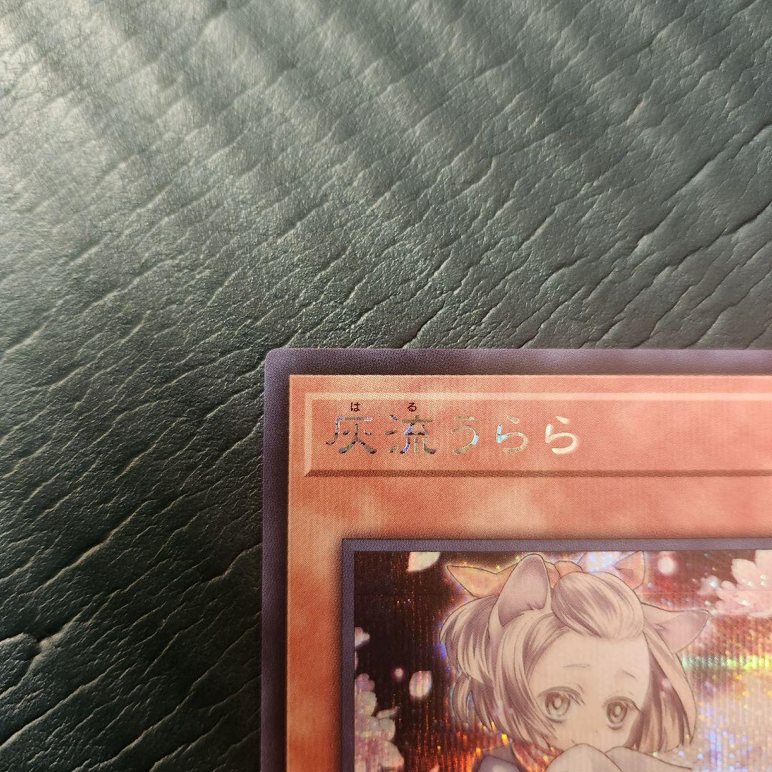 灰流うらら クウォーターセンチュリーシークレット