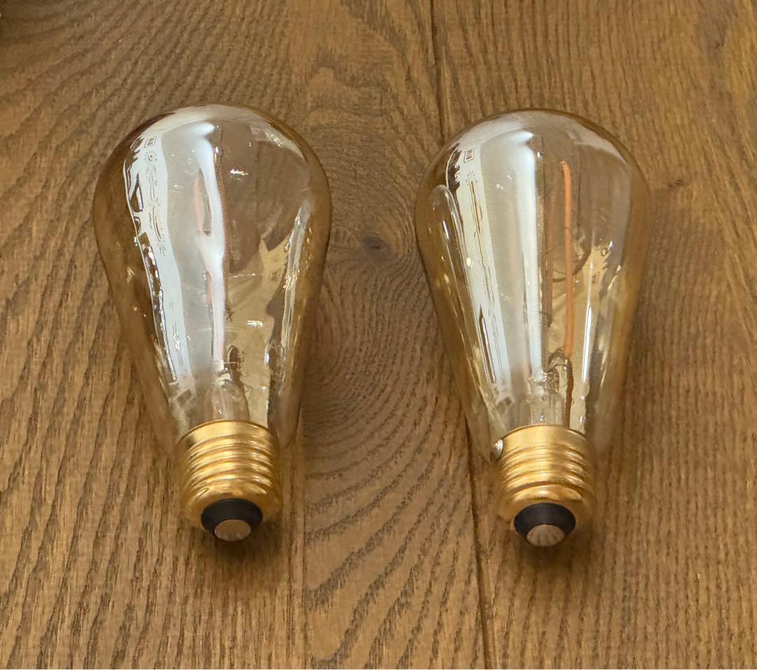 SWAN BULB VF EDISON SWB-E061L2個セット