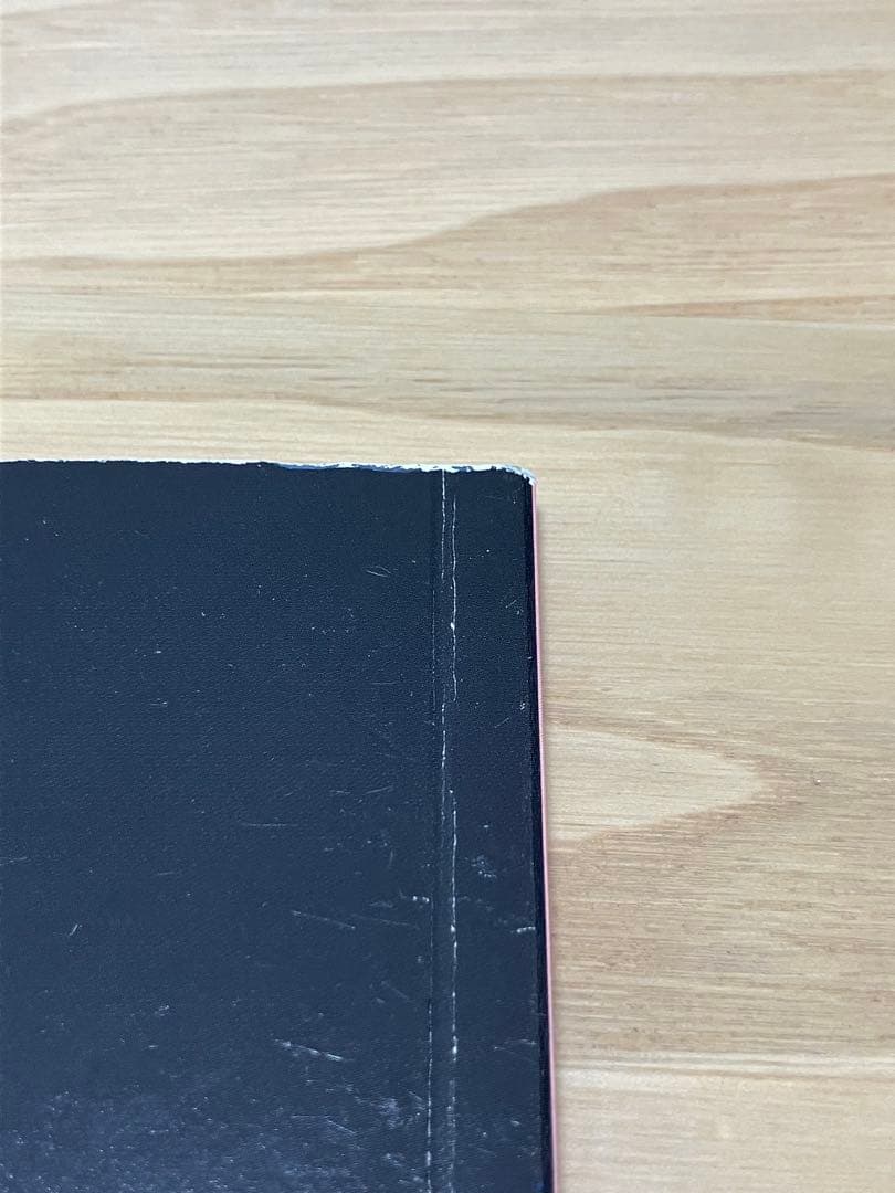 【限定】ポールマッカートニー 2013ツアータオル・パンフレット・チラシ