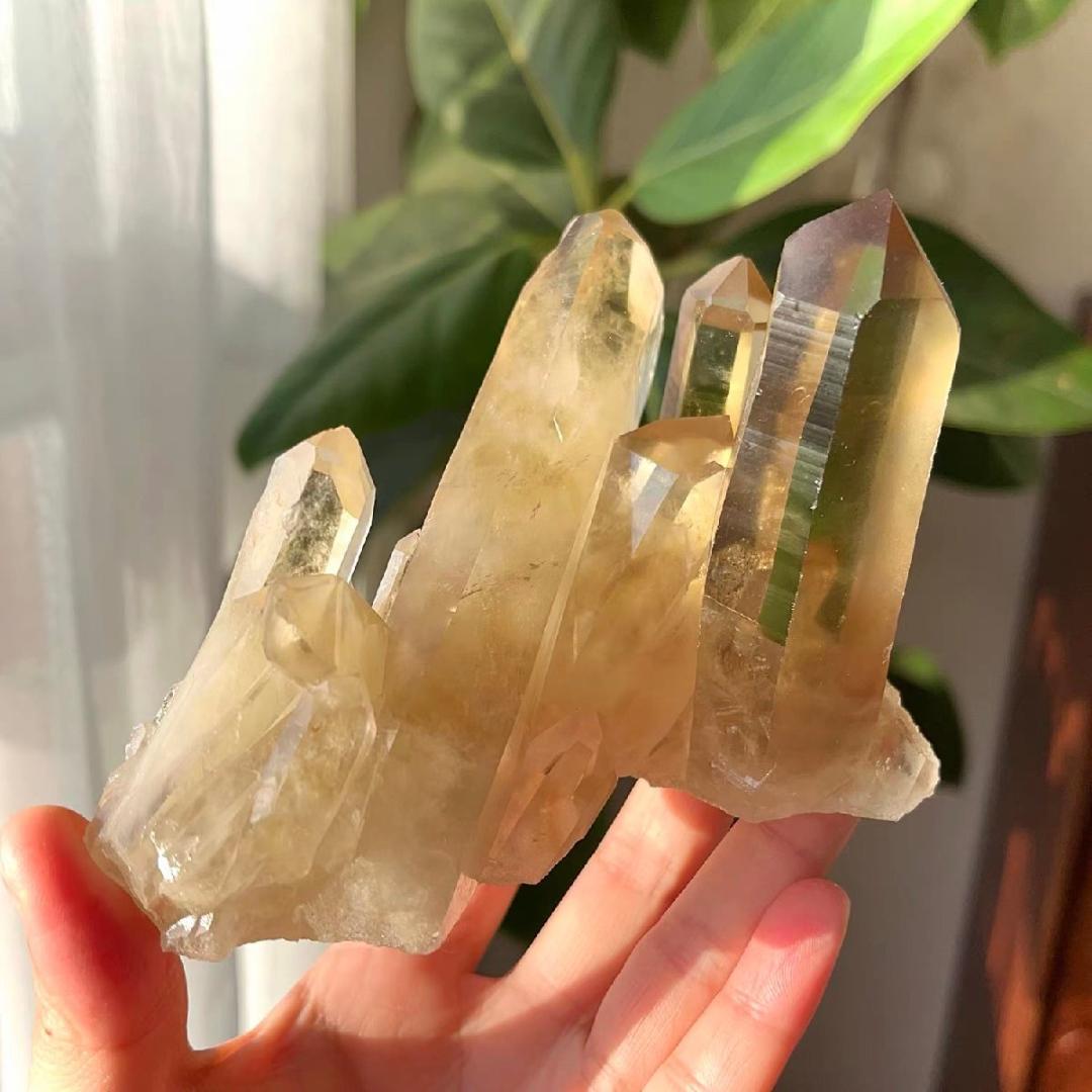 AAAAAAAAAA級天然シトリン水晶クラスターB0226/YS/280D