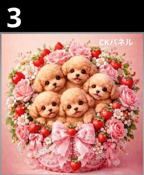 オーダーページ　ハンカチ131 花ブーケわんこ柄　ハンドメイド2/15