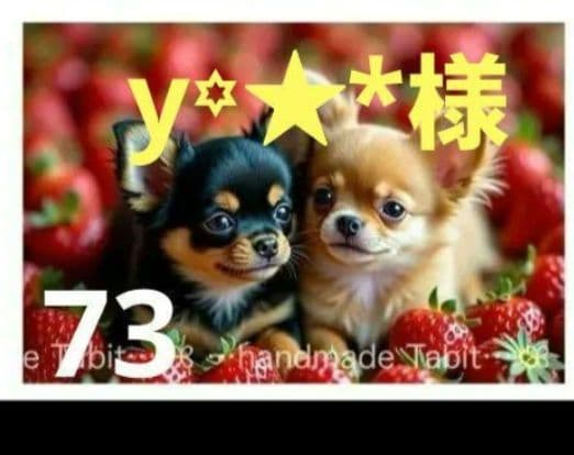 y꙳★*様御確認用