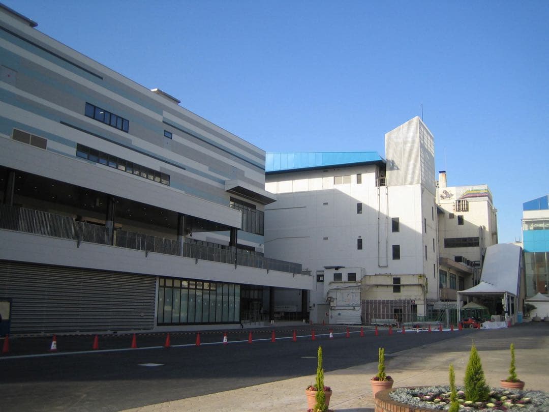 CANON IXY DIGITAL 50 キャノン コンパクトデジタルカメラ