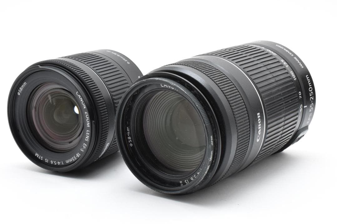 キヤノン　Canon EOS Kiss X5 ダブルレンズキット #2-45