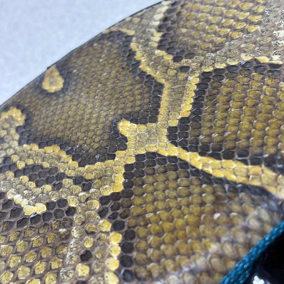 三線 本皮 強化張り 本革 蛇皮 蛇革 三味線 琉球 沖縄