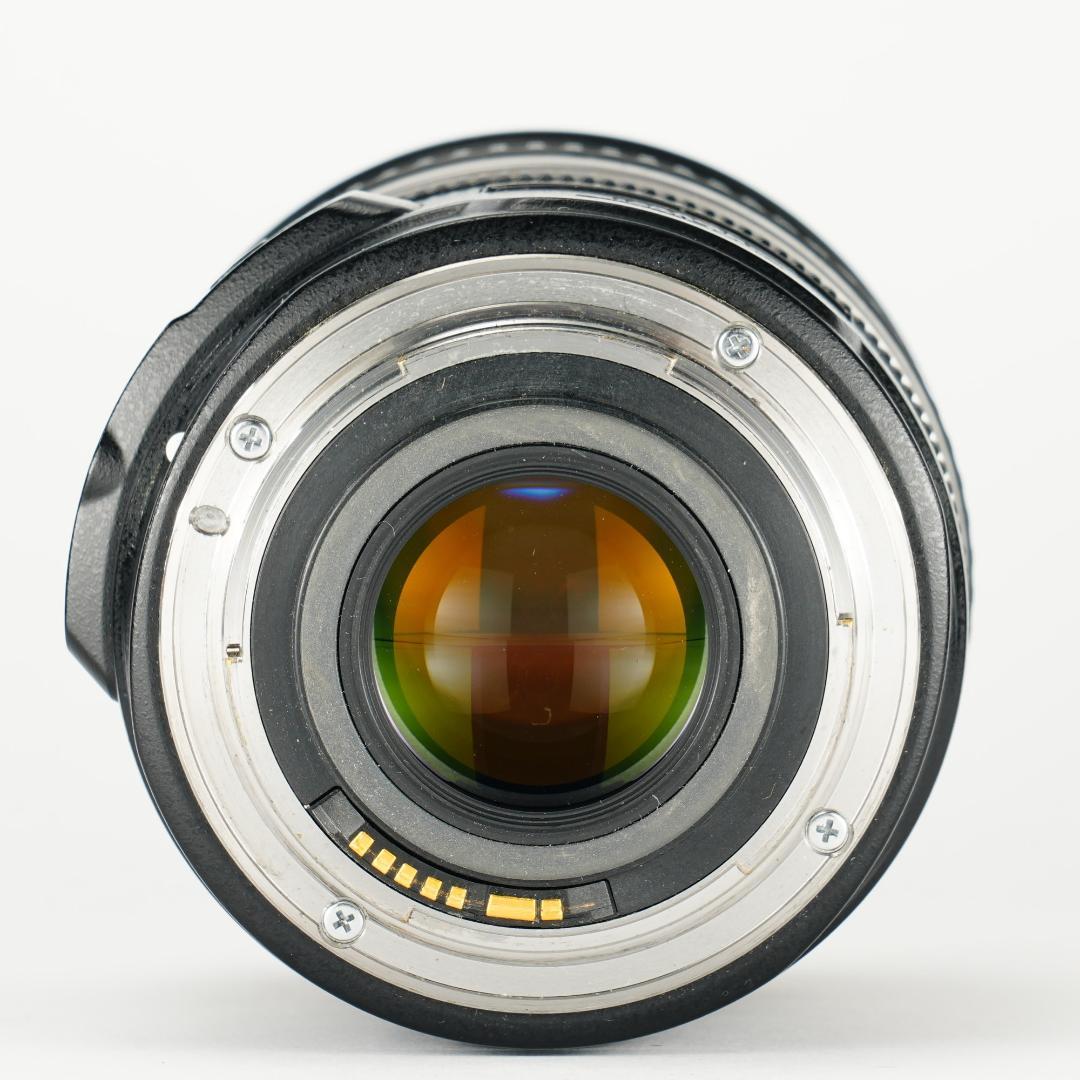 【プロテスト済】Canon EF-S 17-55mm F2.8 USM 123