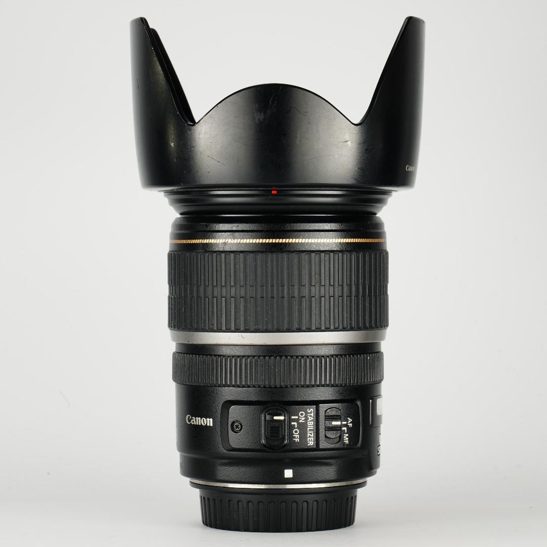 【プロテスト済】Canon EF-S 17-55mm F2.8 USM 123