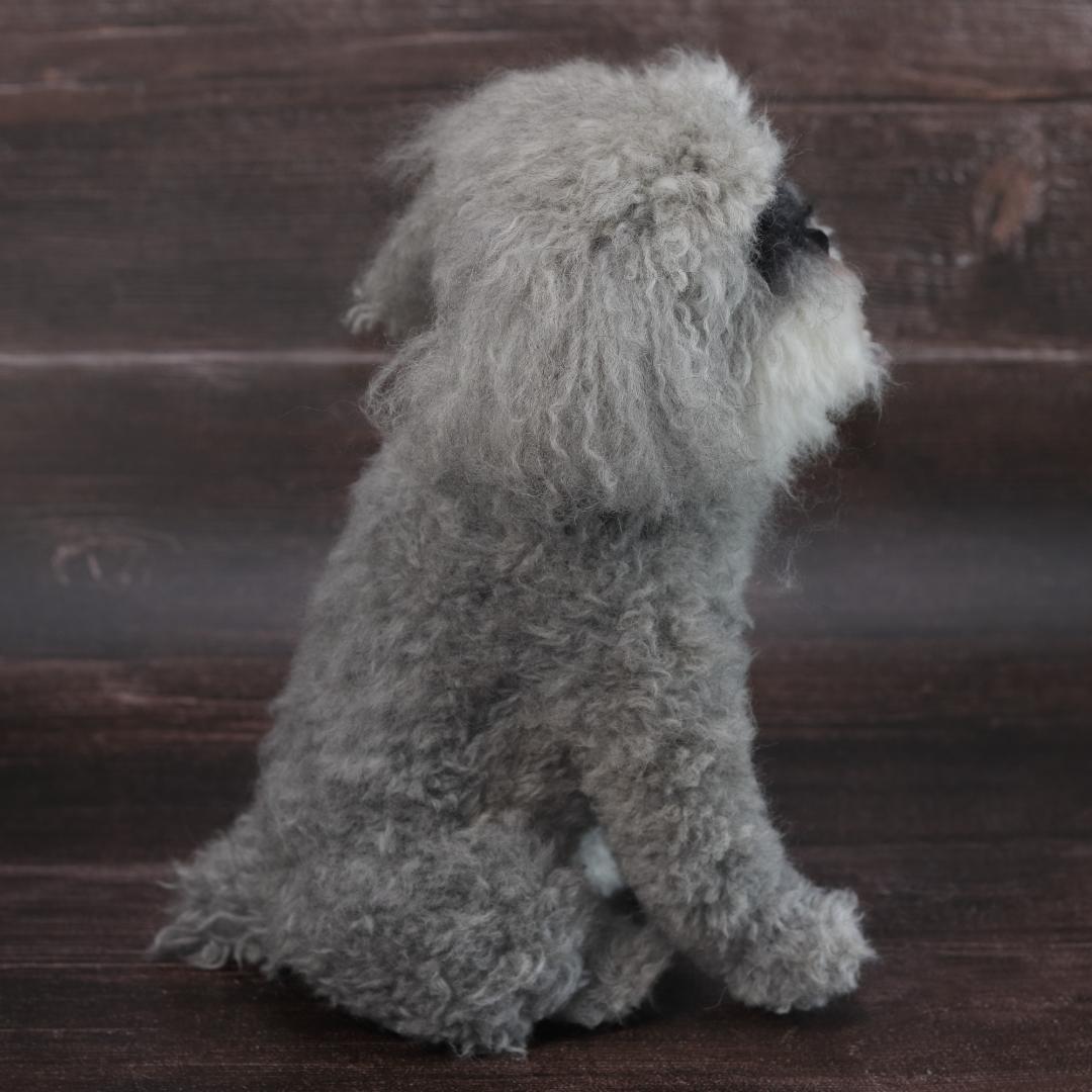 わんたさんさま専用　羊毛フェルト　犬　シュナウザー　Ｌサイズ　オーダー